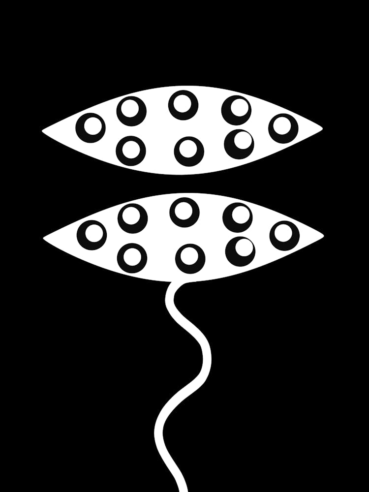 Seeing Eyes