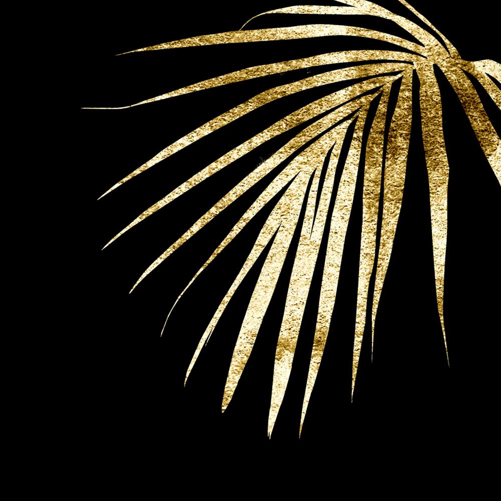 Gold Palm Leaf On Black Background