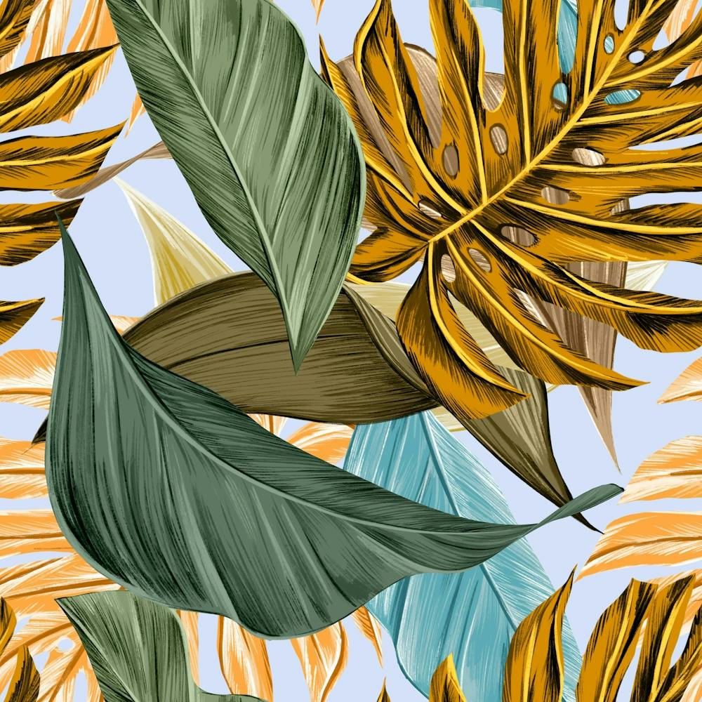 Monstera Palm Leaves Plants
