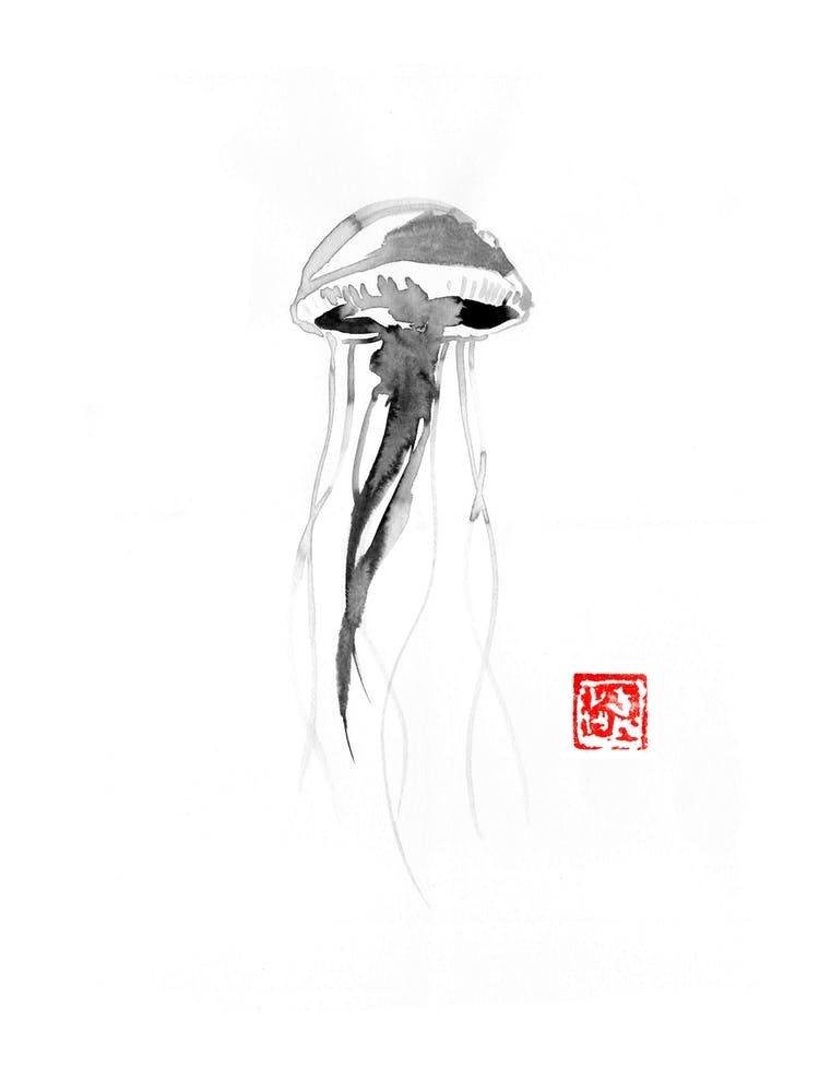 Jellyfish