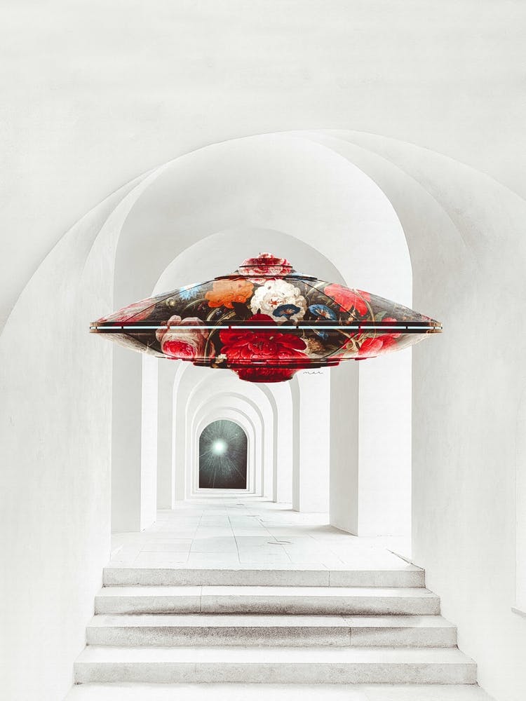 Ufo, Unidentified Floral Object