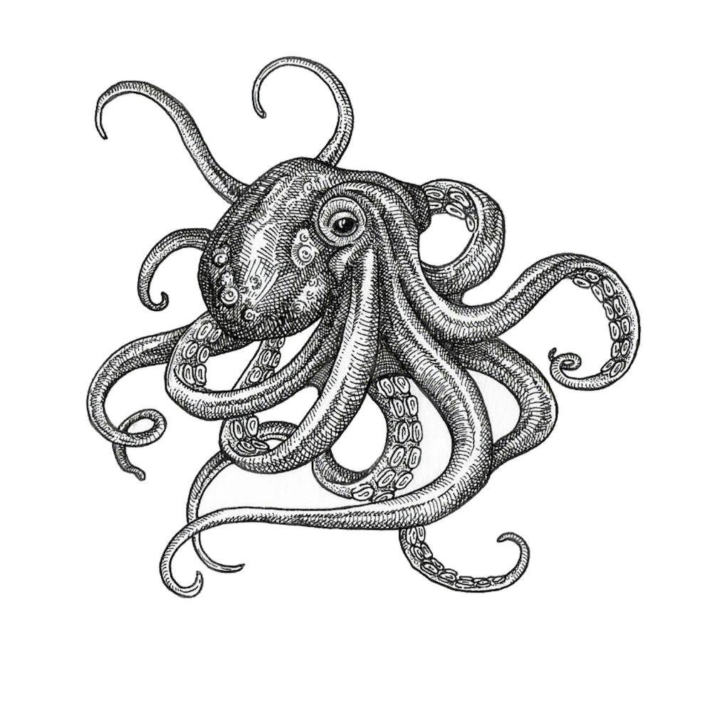Octopus In Ink