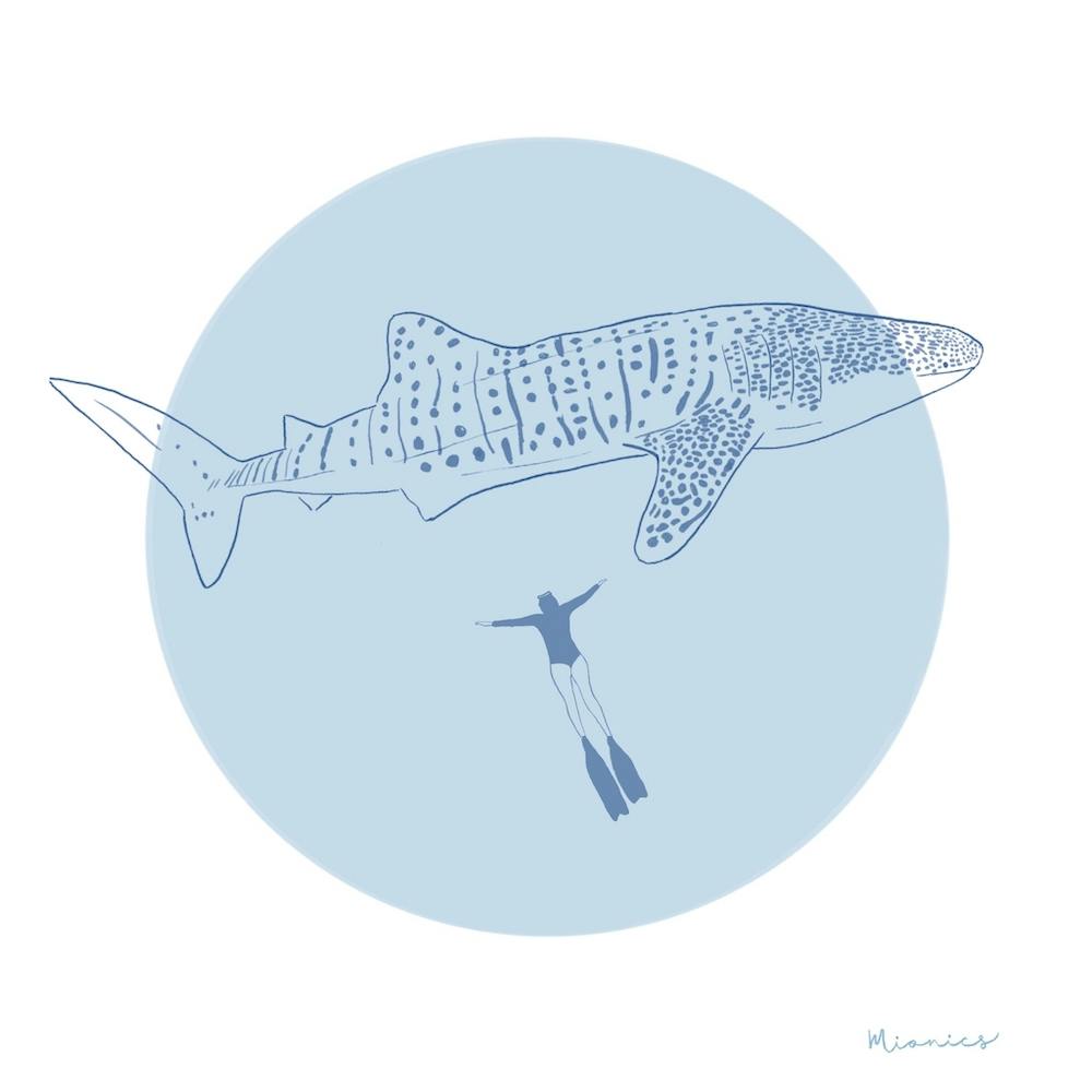 Dreaming with whale sharks