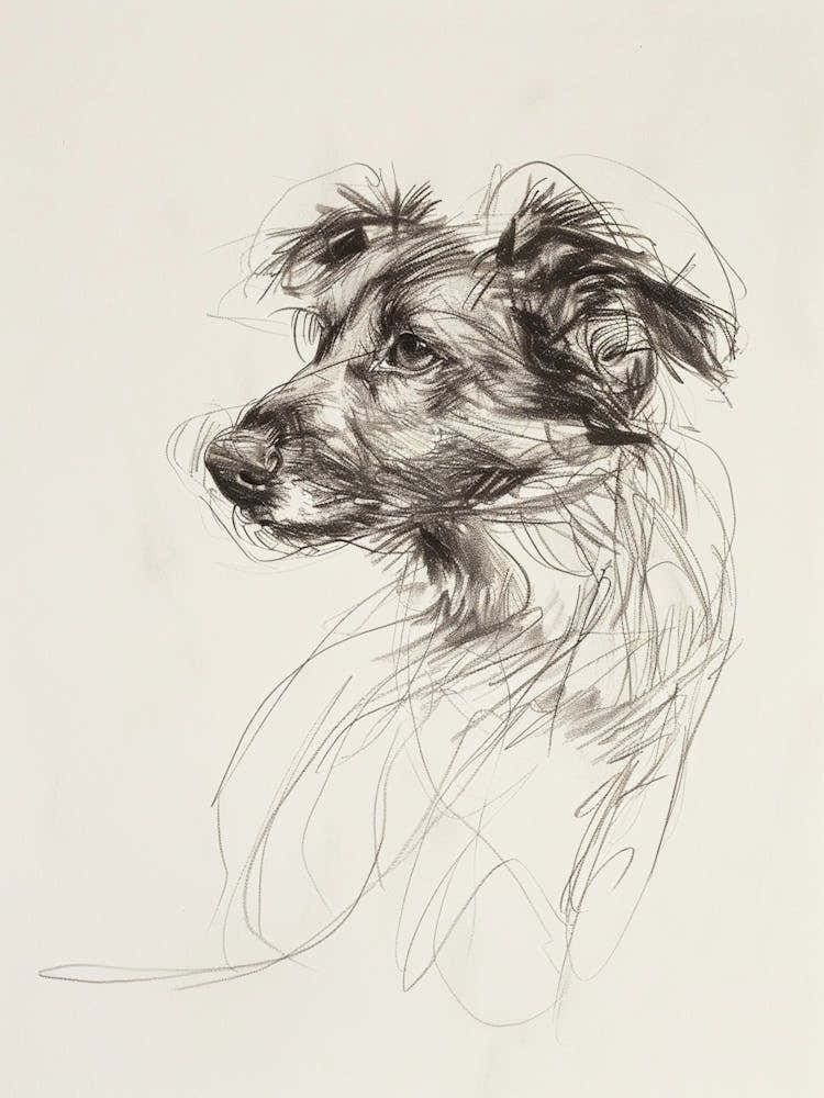 Dog Charcoal Line Sketch