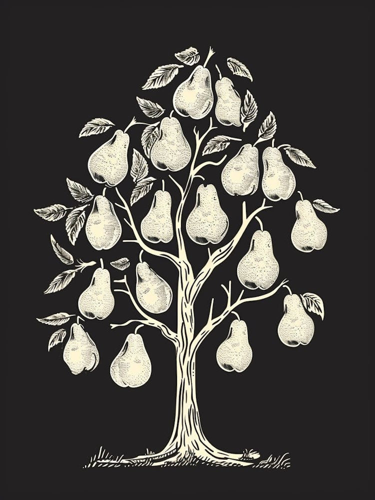 Pear Tree Minimalistic Drawing 1