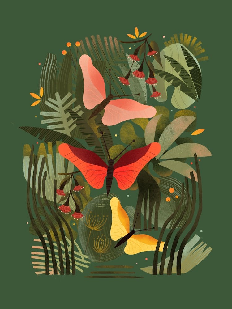 Butterflies In The Jungle 1
