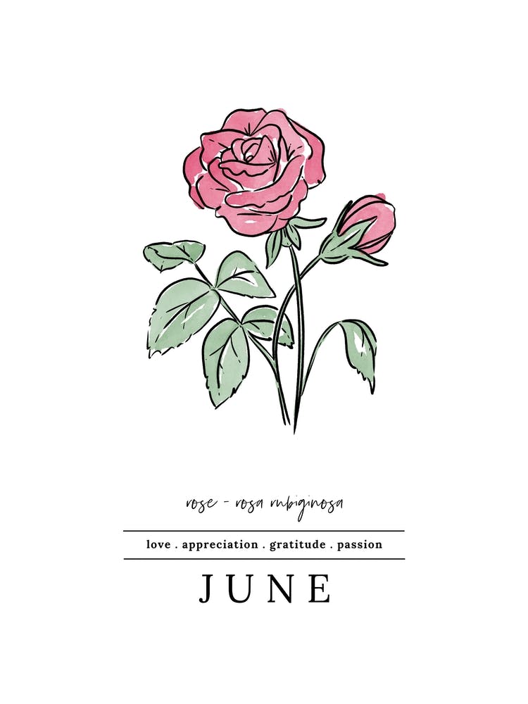 June Rose Birth Flower 2