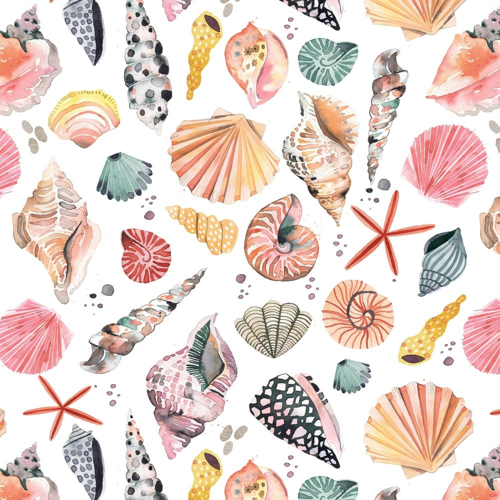 Sea Shells Marine Sand Square