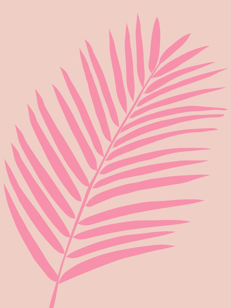 Pink And Blush Palm Leaf