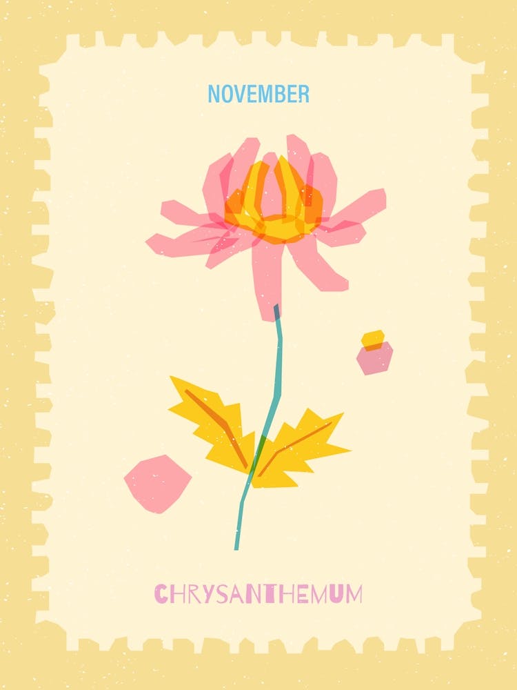 November Birthmonth Flower Chrysanthemum