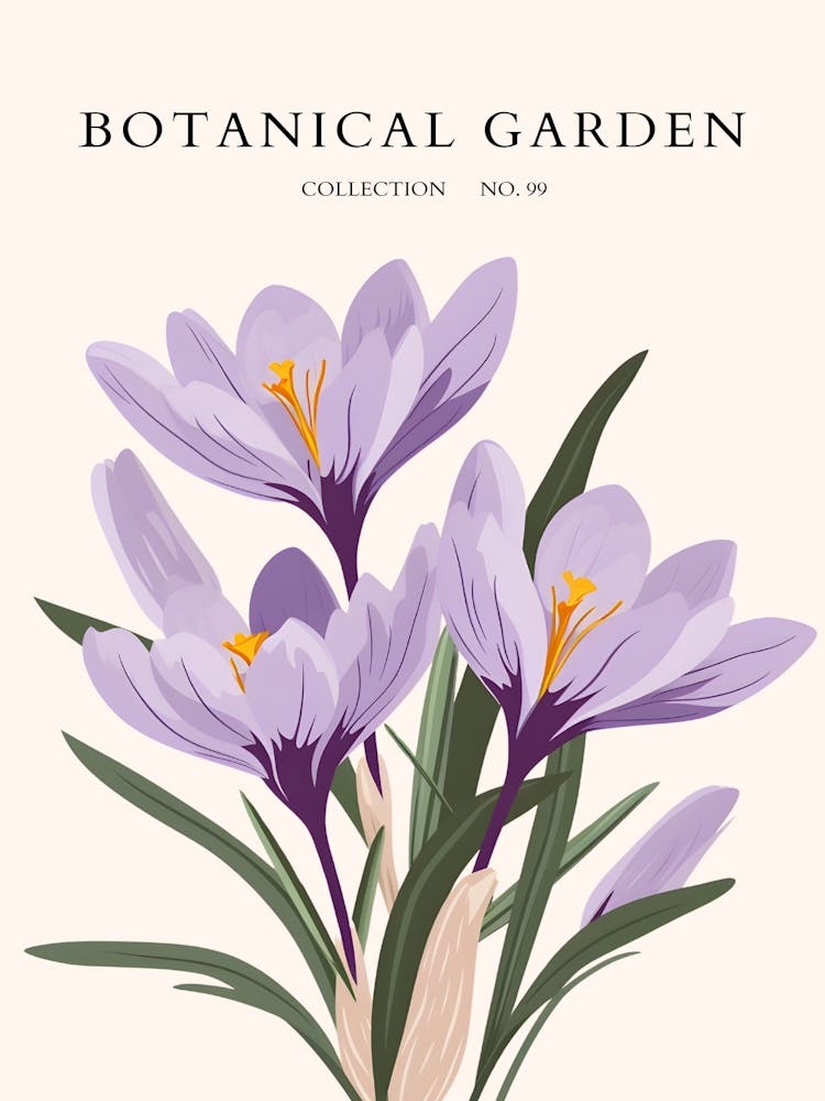 Botanical Garden 12