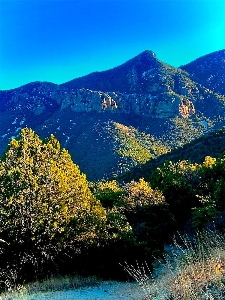 View Of The Arizona Mountains