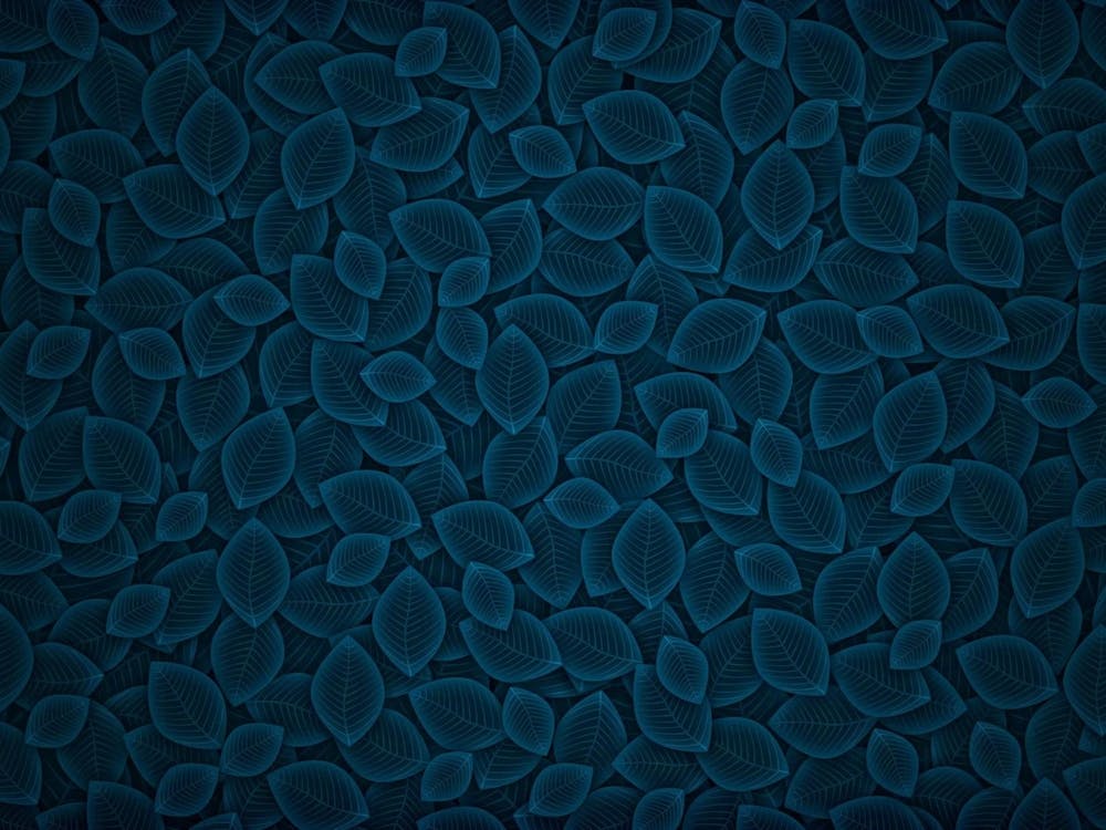 Blue Leaves On A Dark
