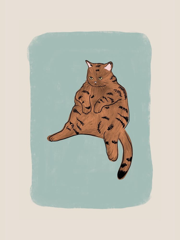 Brown Cat