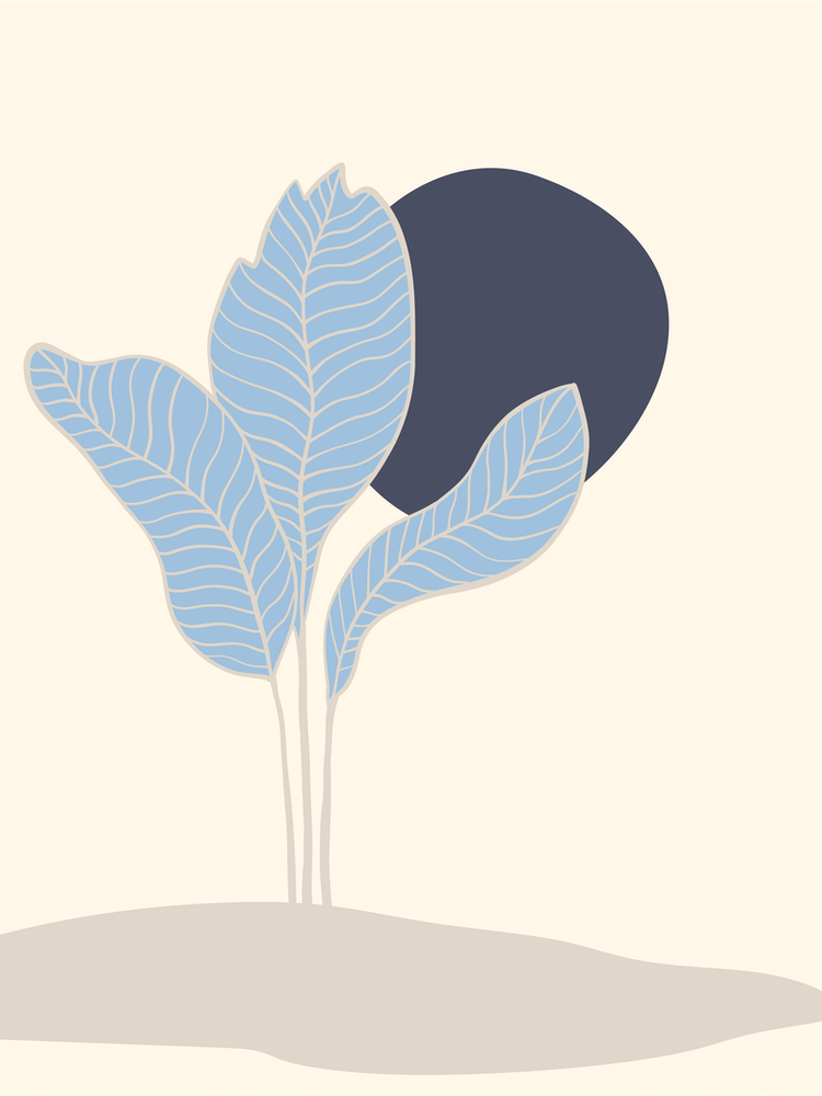 Banana Leaves And Abstract Shapes