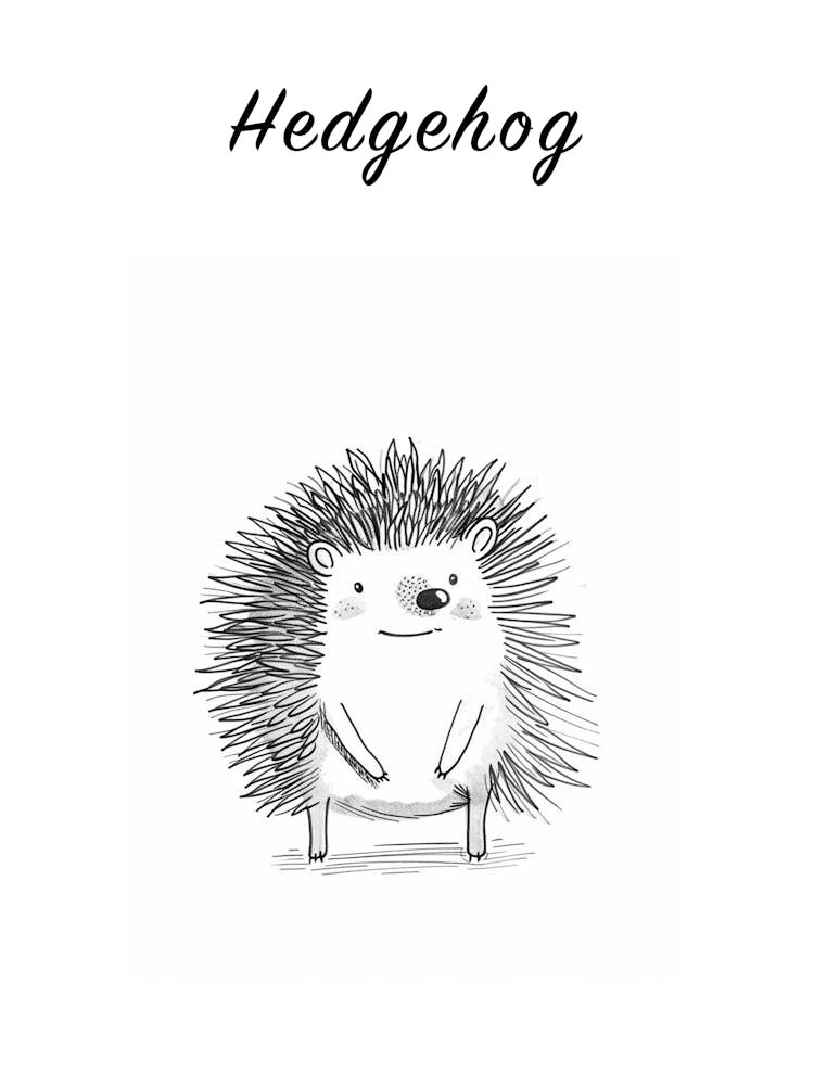 B&W Hedgehog 1 Poster