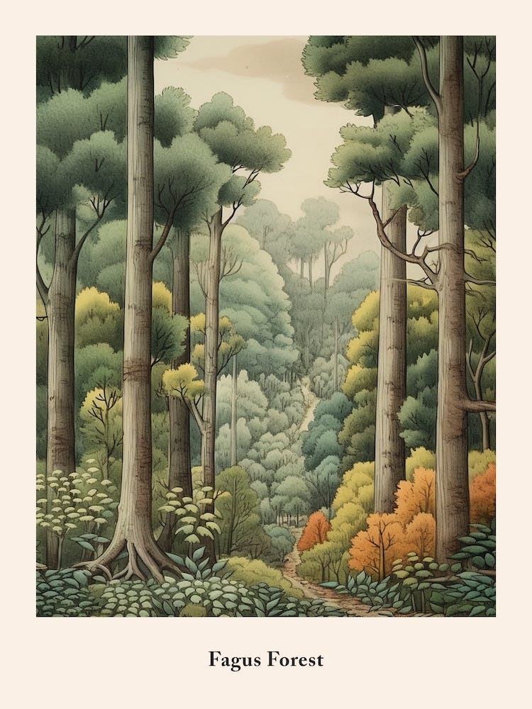 Fagus Forest