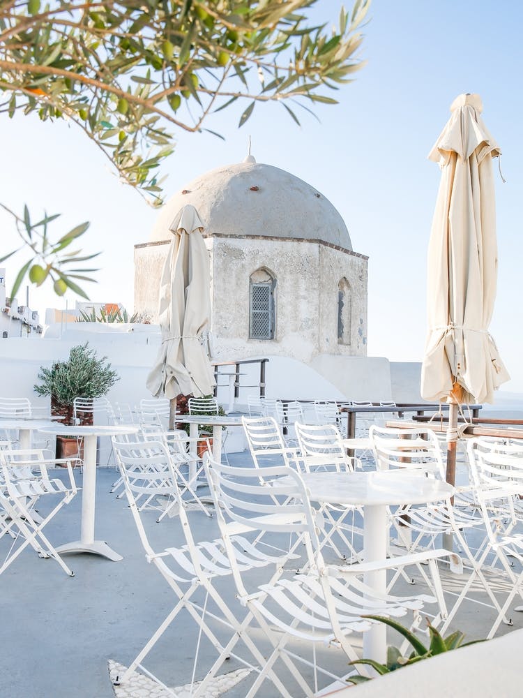 Olive Tree Courtyard