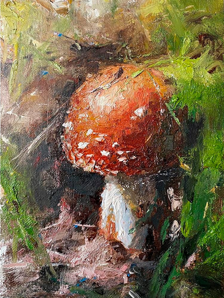 fly agaric