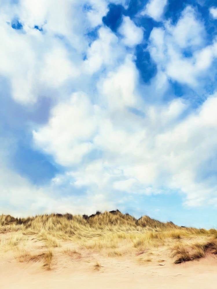 Beach Sand Dune And Sky