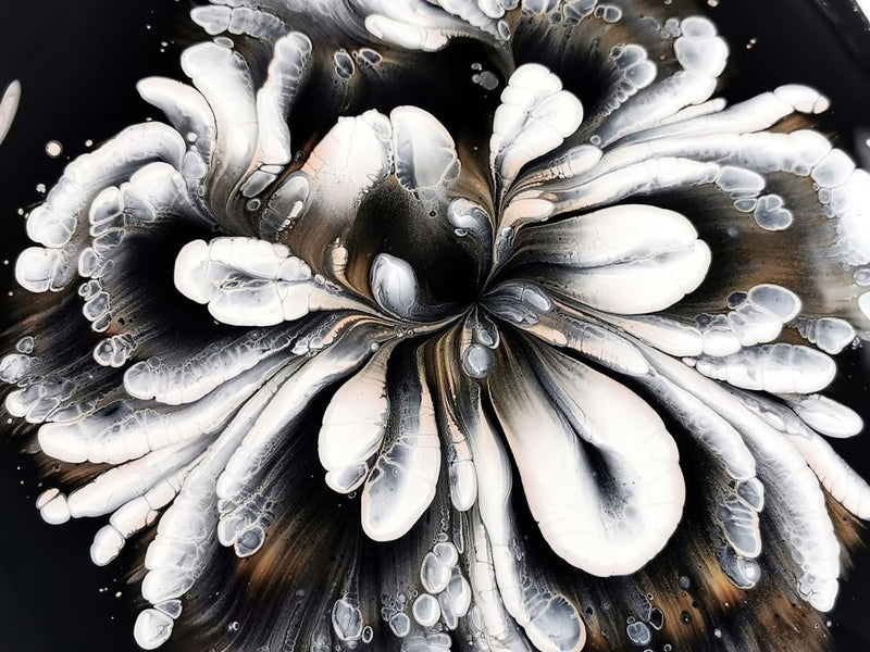 Black And White Flower