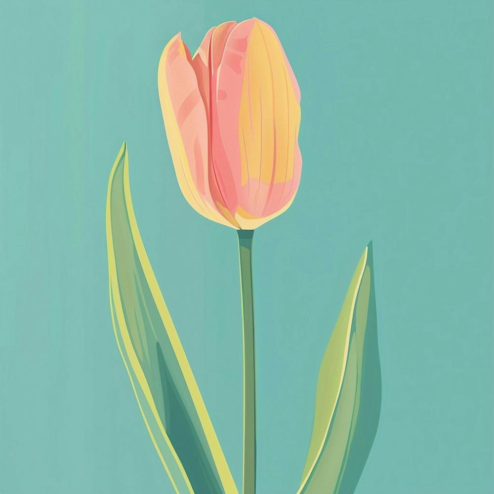 Tulip 3 Square Flower Illustration