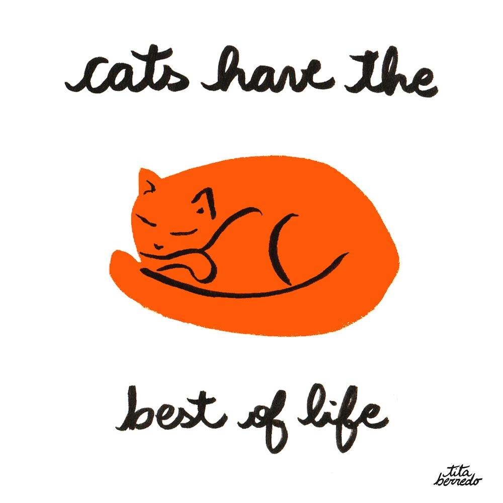 Cats Life Square