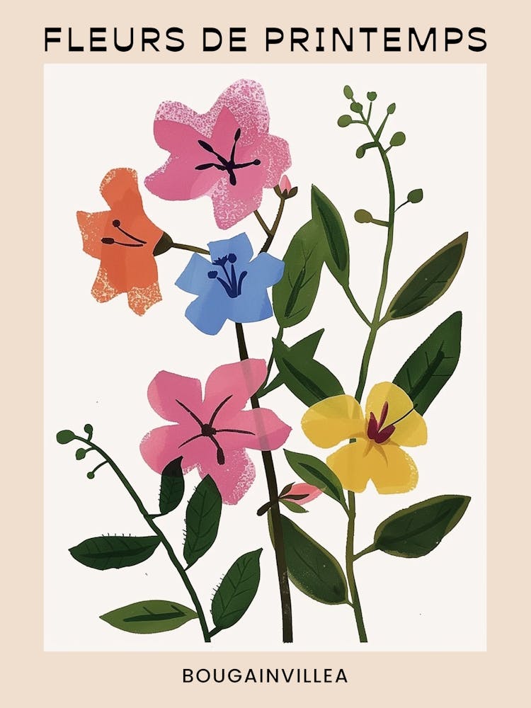Spring Floral French Poster  Bougainvillea 4