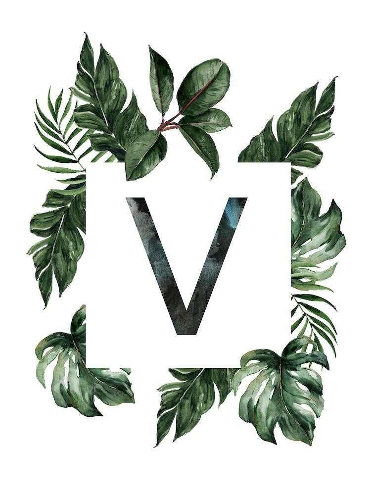 Botanical Alphabet V