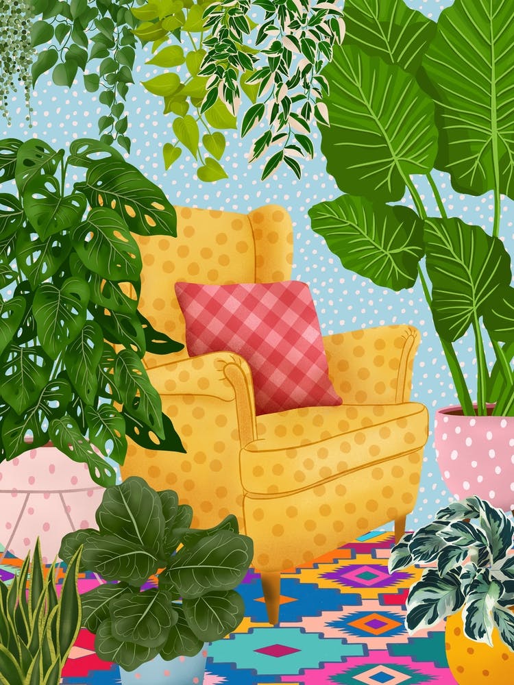 Colourful Plant Room 5