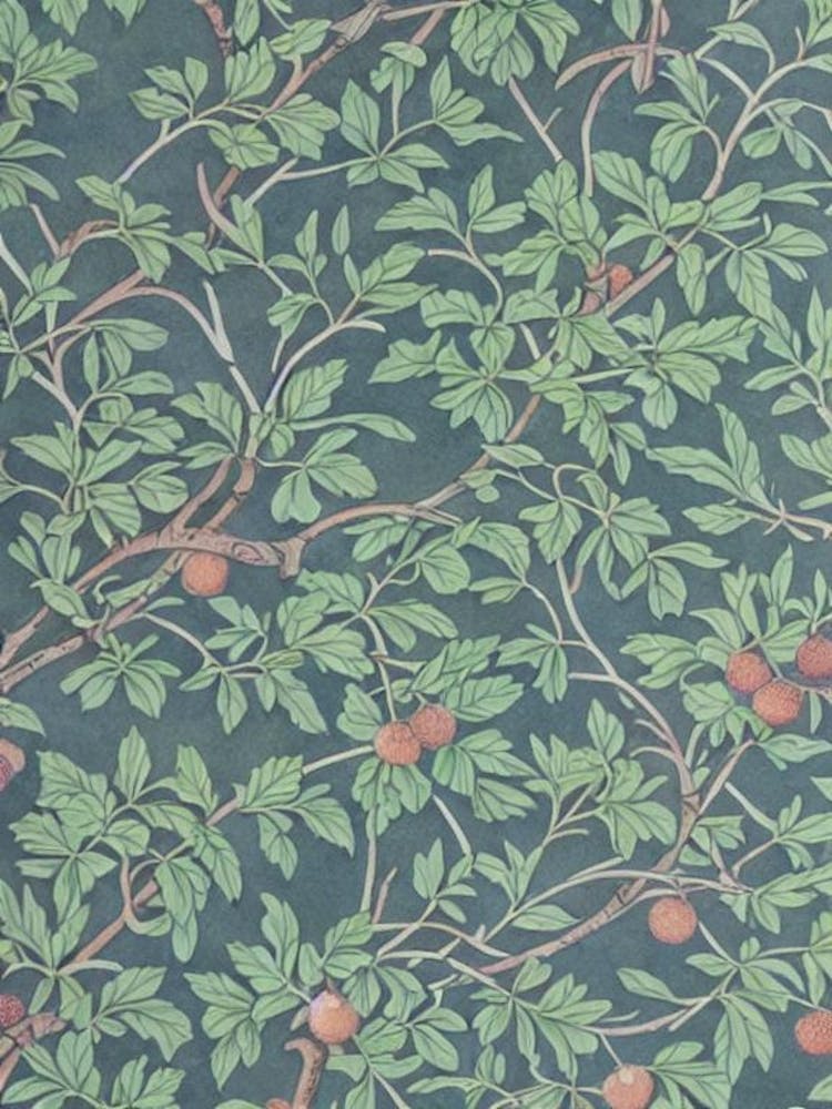 Rambutan 2 Vintage Botanical Fruit