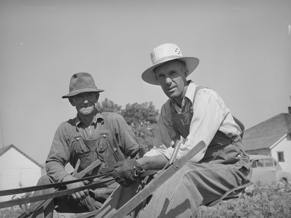 Mormon Farmers, Members Of Fsa (Farm Security Administration) Cooperative Beet Sugar Cultivater