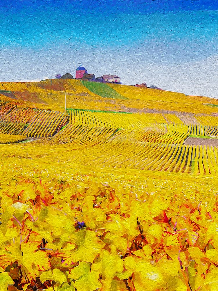 Windmill And Vineyards, Verzenay, Champagne Ardenne, France