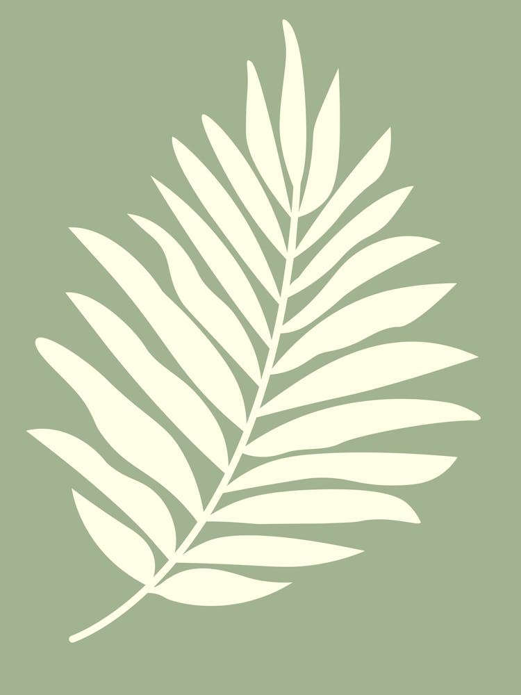 Feuille de Palmier