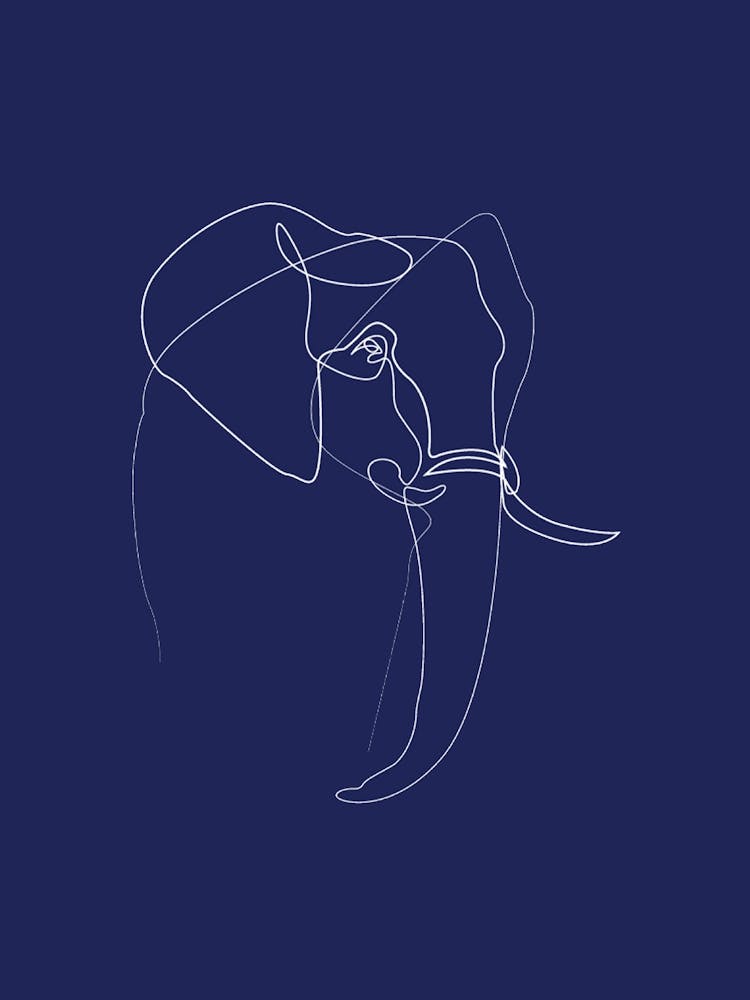 Elephant - Line Art Series