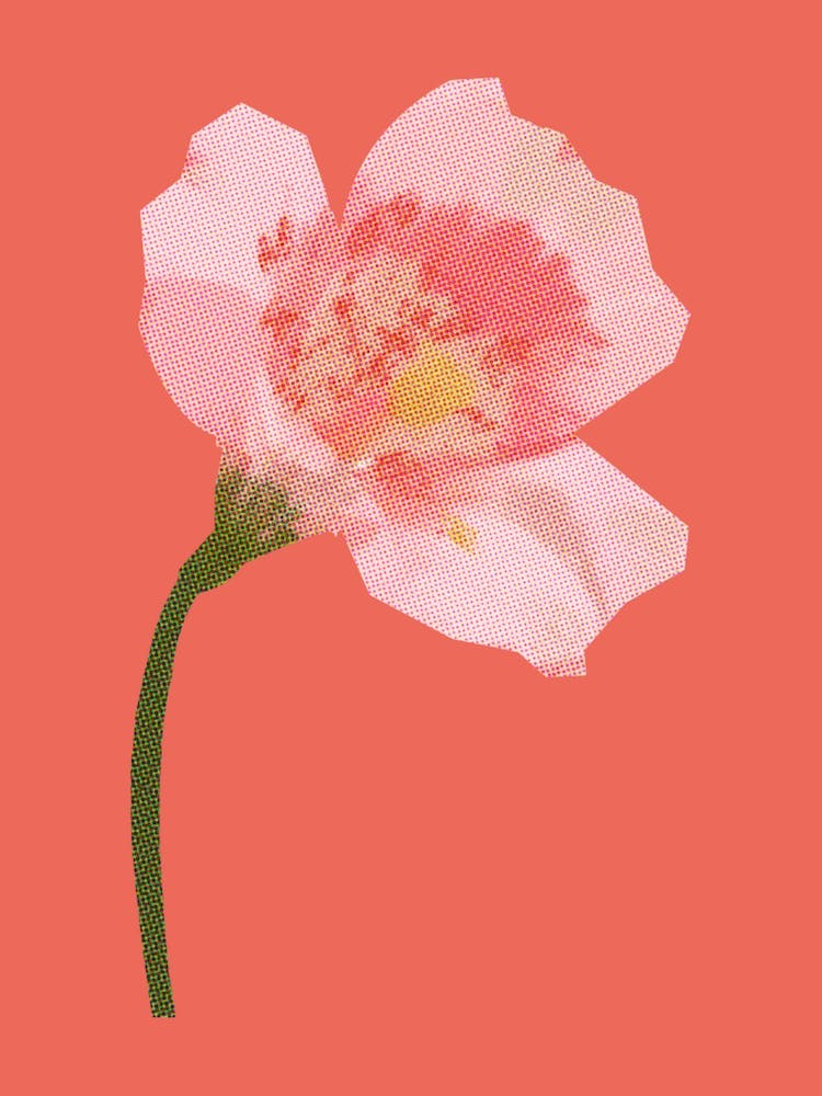 Cutout Flower