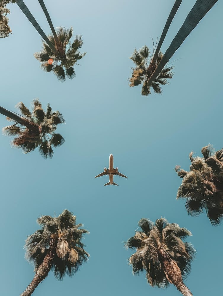 Airplane Flying Over Palm Trees