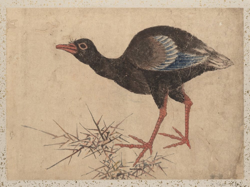Album Of Sketches, By Katsushika Hokusai And His Disciples, Katsushika Hokusai 2