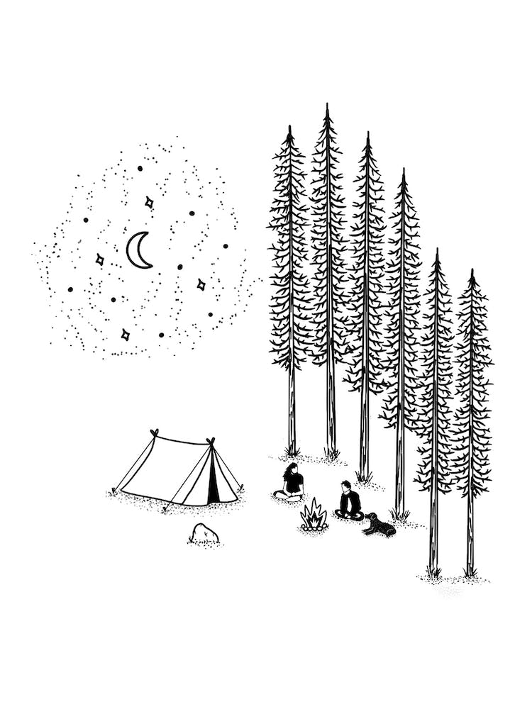 Camping In The Forest