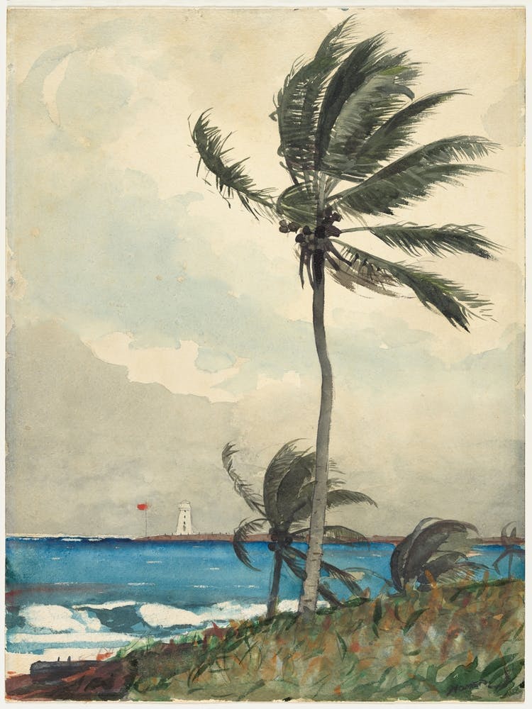 Nassau, Winslow Homer