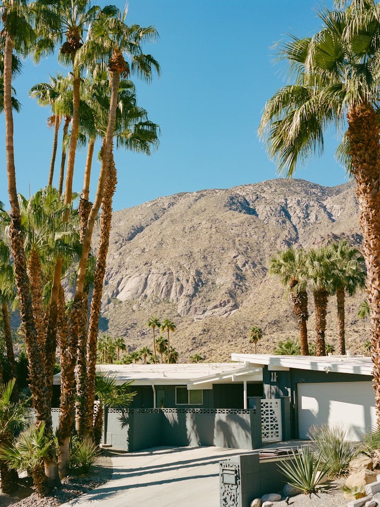 Palm Springs Architecture V on Film