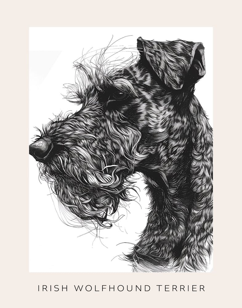 Irish Wolfhound Terrier Dog Line Sketch 1 Poster