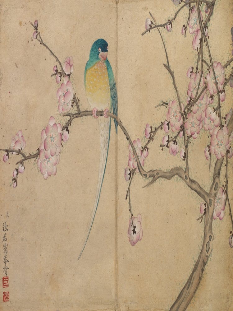 Bird Perched On A Cherry Blossom