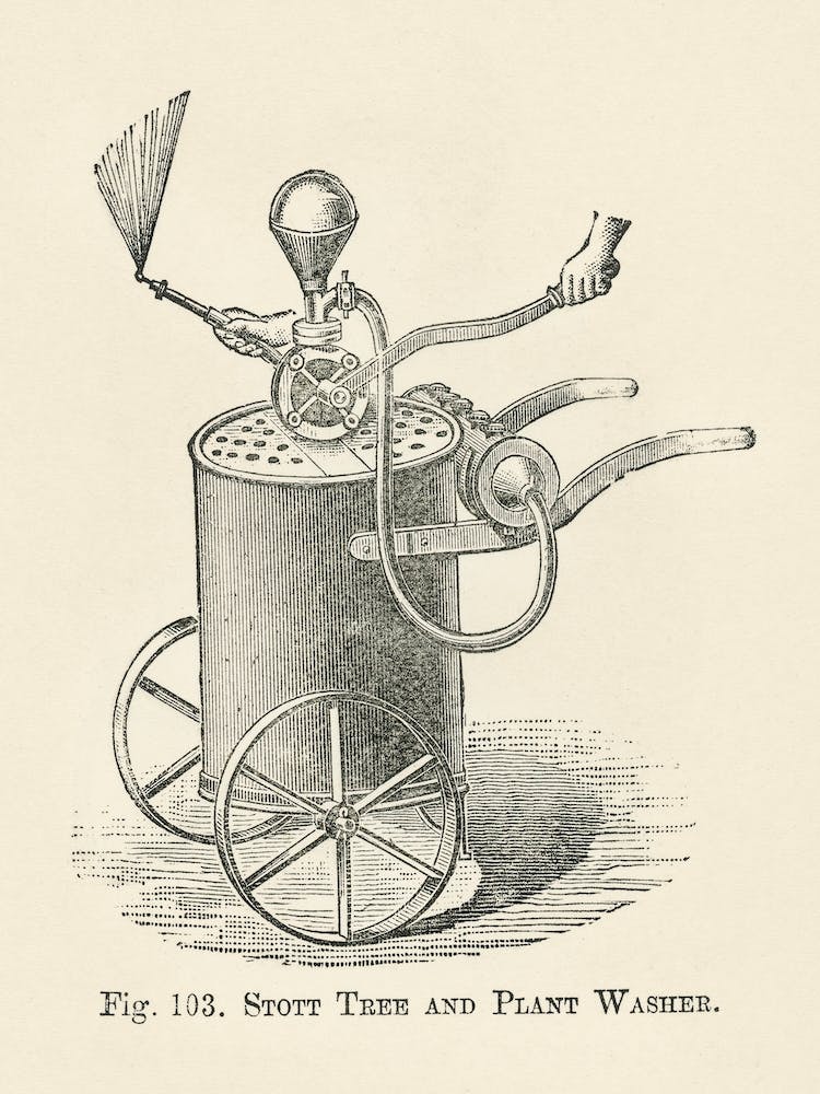 Vintage Illustration Of Plant Washer, Stott Tree, John Wright