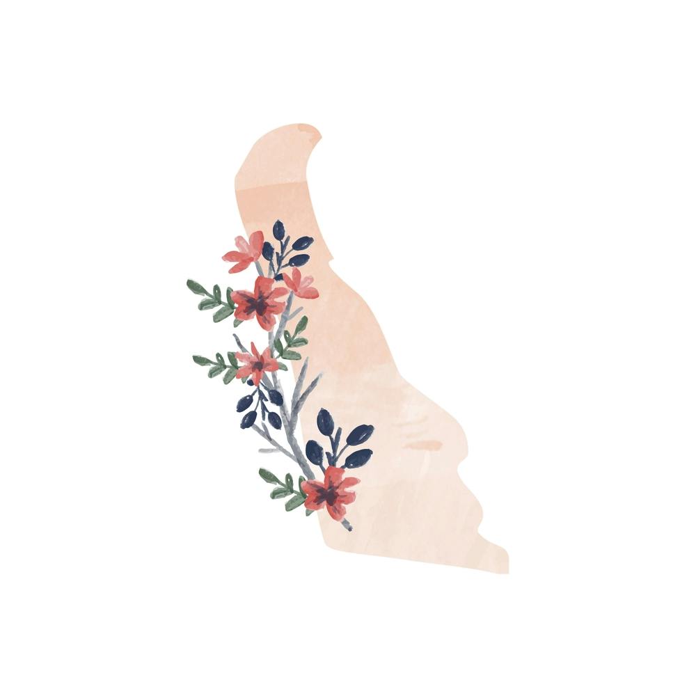 Delaware Watercolor Floral State