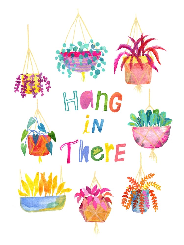 Hanging Indoor Plants