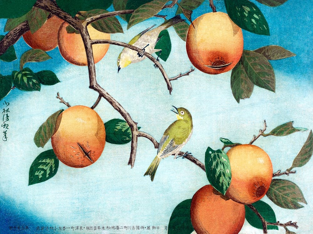 Persimmons And White Eyes, Kobayashi Kiyochika Vintage Japanese