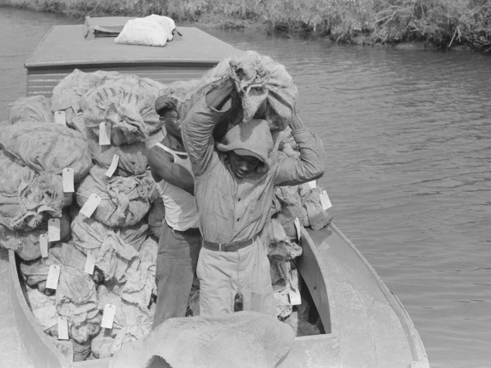 Unloading Oysters From Small Boats, Olga, Louisiana By Russell Lee