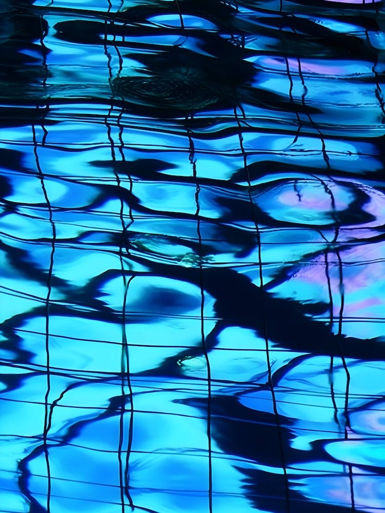 Eclectic Swimming Pool Contemporary Pool