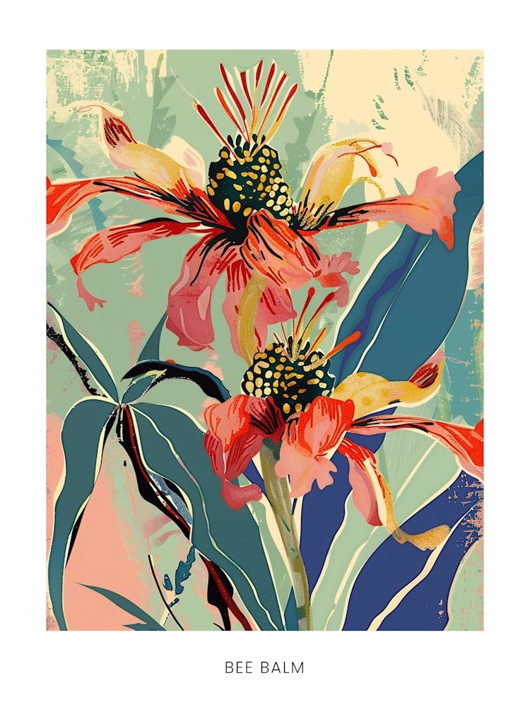 Colourful Flower Illustration Poster Bee Balm 4